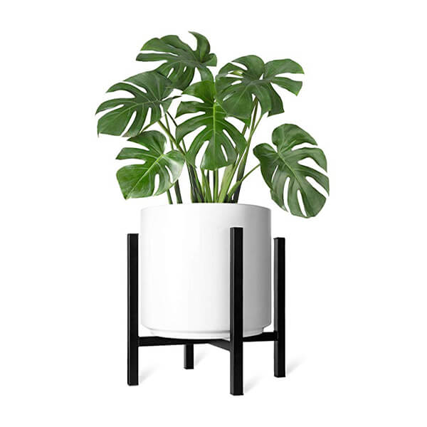 Plant Stand